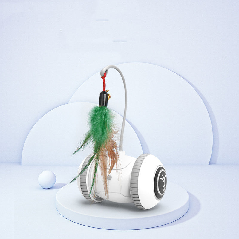 Interchangeable Cat Feather Toy